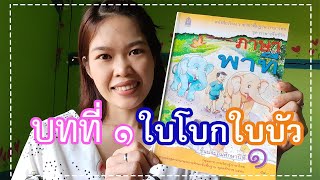 ฝึกอ่าน ภาษาพาที ป.1 บทที่ 1 ใบโบก ใบบัว