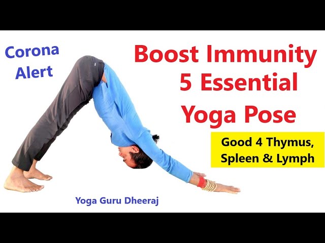 Yoga poses for increased immunity | Yoga poses, Yoga, Yoga asanas