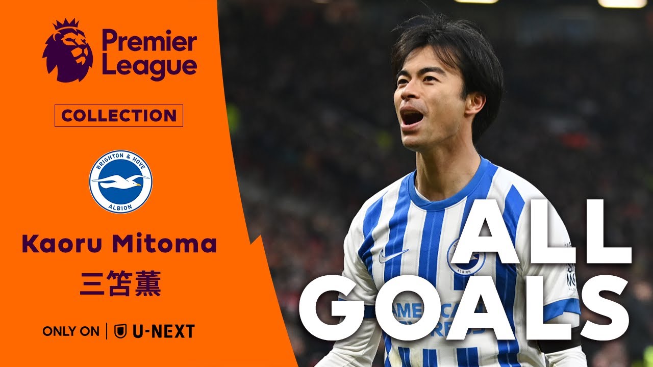 公式購入】プレミアムリーグ ブライトン 青いカメ ぬいぐるみ 三笘薫