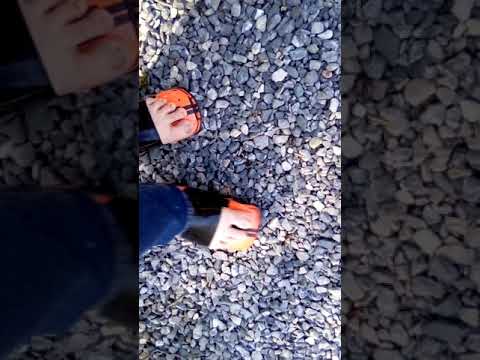 Short walk outside orange mustangs crunchy sounds on stones