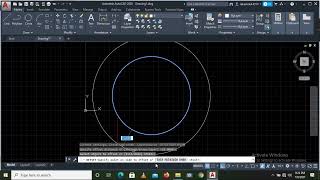 How to draw concentric circles using Autocad