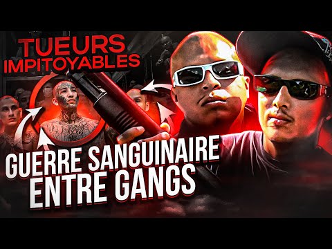 Les Maîtres Sanglants De New York Qui Contrôle La Ville 