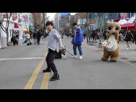 JHKTV] 신촌 명물고양이 와 케이팝댄스 shin chon special <strong>cat</strong> &amp;<strong>amp</strong>;k pop dance
