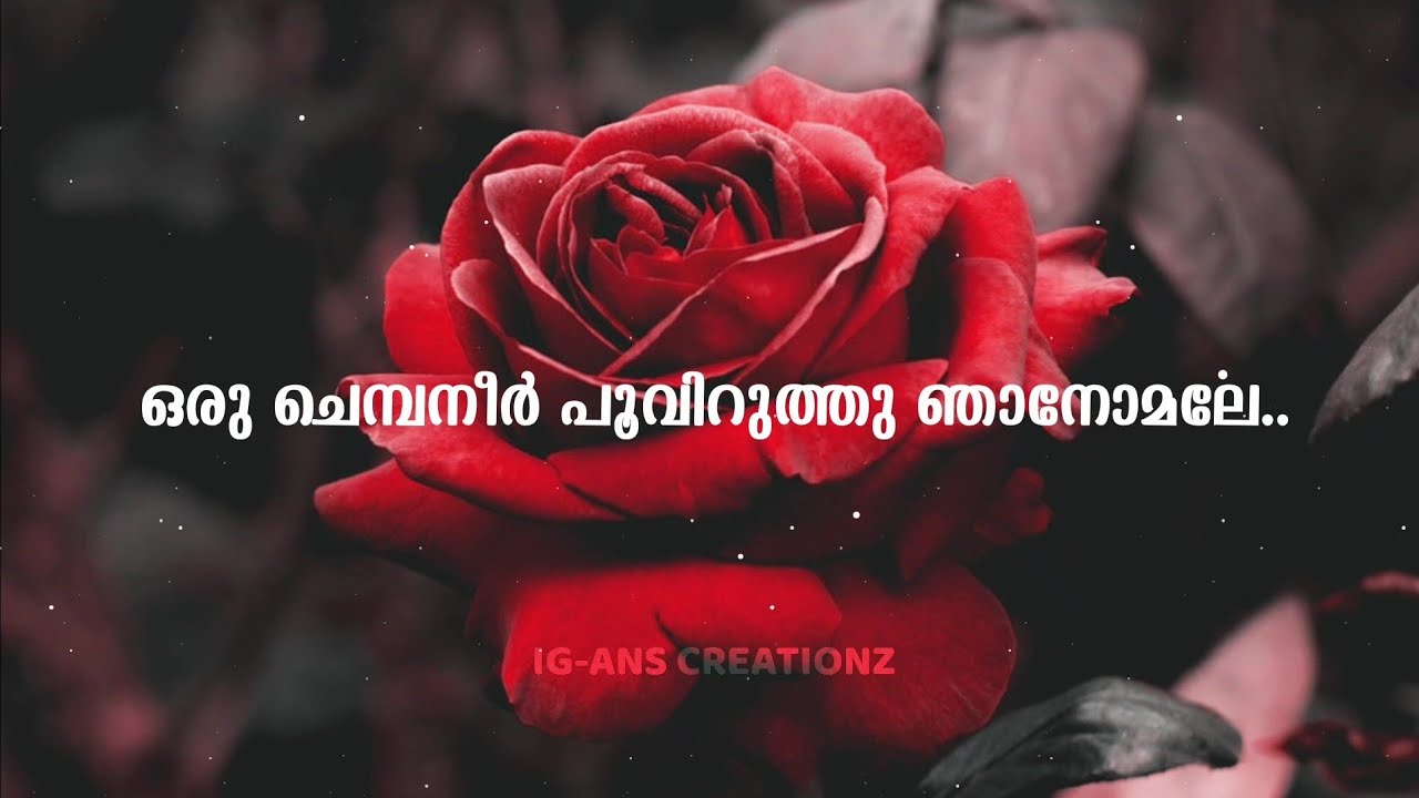 Oru chempaneer pooviruthu lyrical video song malayalam