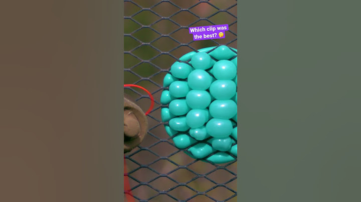 Water balloons being ridiculously satisfying 😊