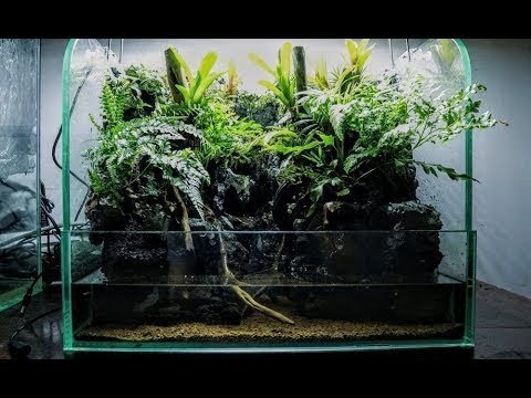 Video Hồ bán cạn thác nước ý tưởng từ rừng Quảng Nam -... - youtube