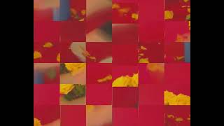 MCVideo 20190718 113929 1