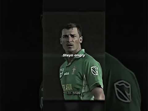 Dale steyn power
