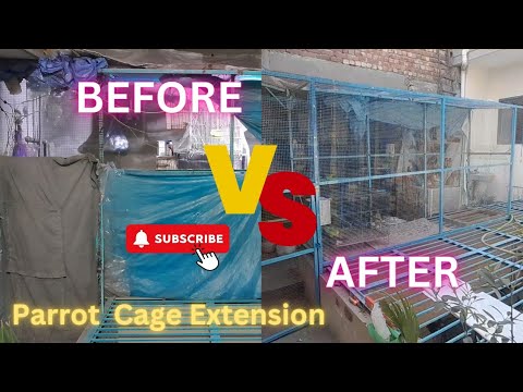 Parrot Cage Extension,Birds Chronicles