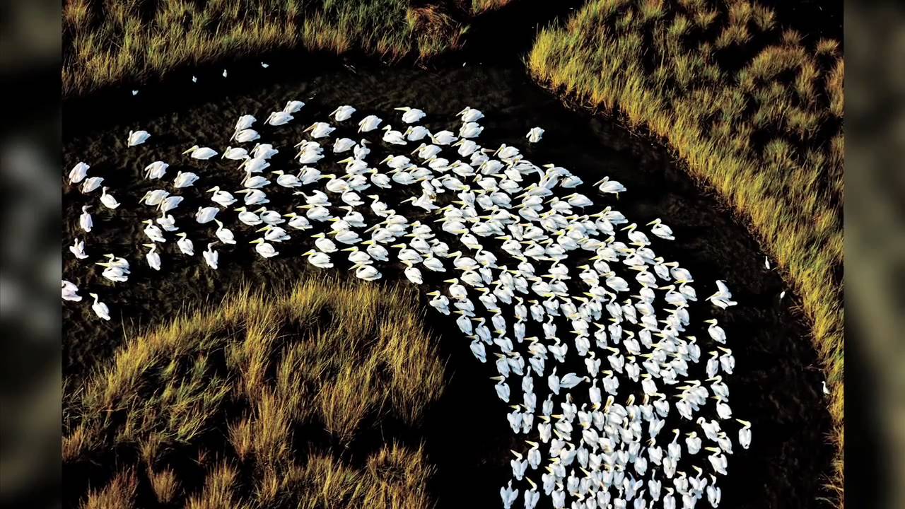 nat geo history books National Geographic Simply Beautiful Photographs