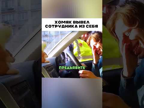 Что сделал хомяк с сотрудником ГАИ?
