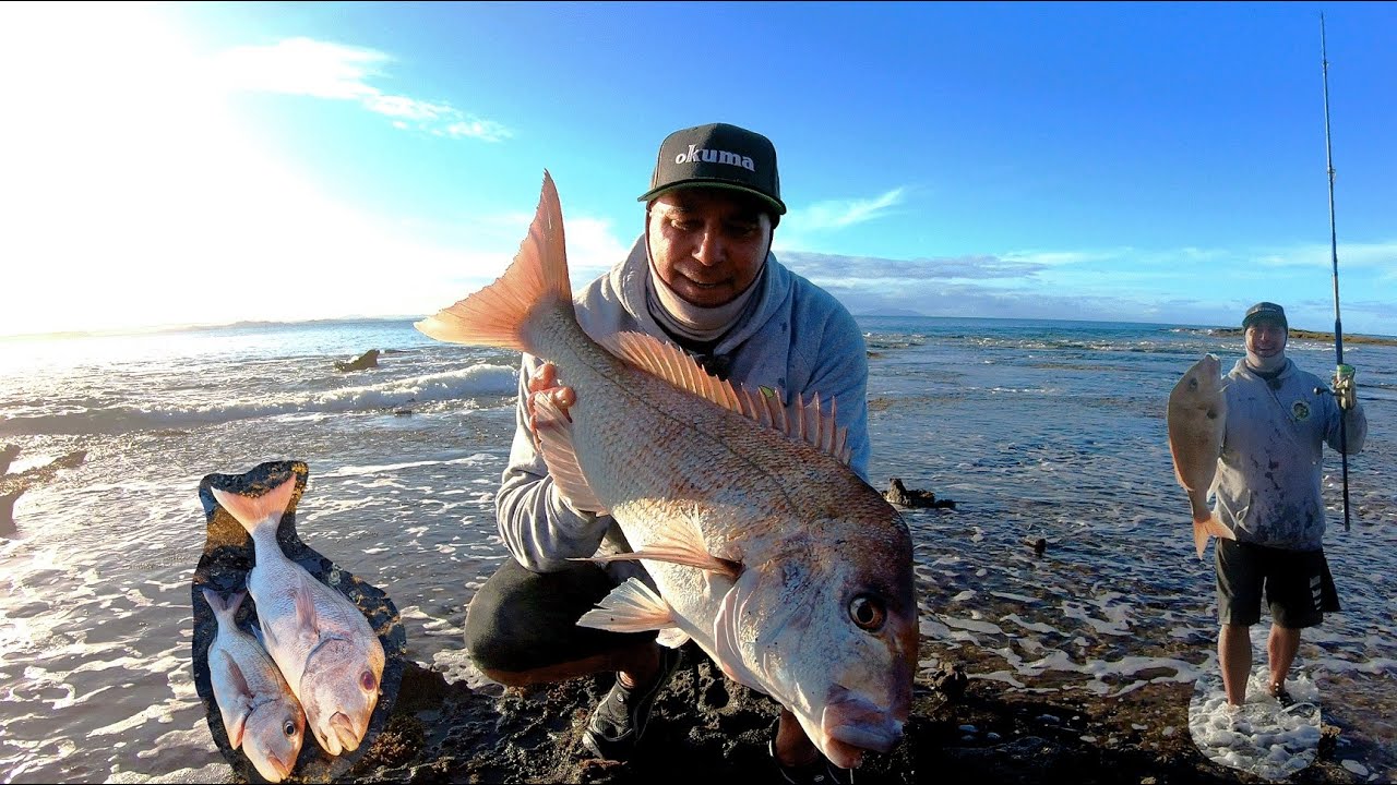 Catching a big snapper from the bricks (Part 2) back down the local for ...