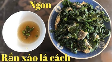 Rắn xào lá cách đặc sản Miền Tây#mientay #linhoffical