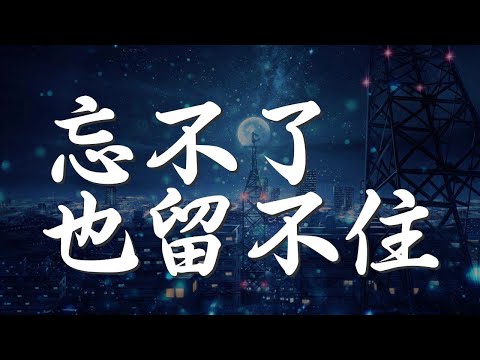 忘不了也留不住 - 蘭雨『忘不了 也留 不住 放不了手』【動態歌詞Lyrics】