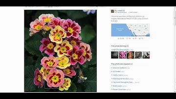 Adding an image from Flickr to your Blogger Blog Post