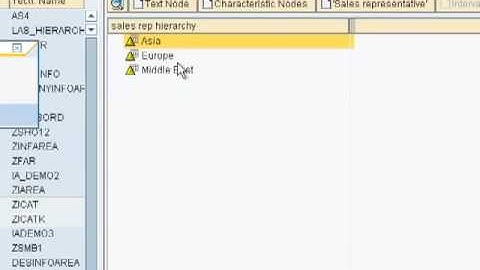 SAP Training Online -How to create hierarchies Pt3