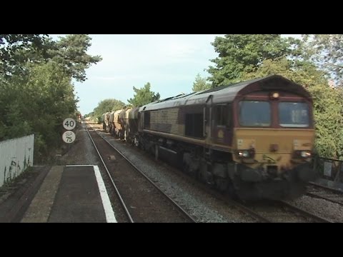 66131 on the short sorrel! diesel cologne