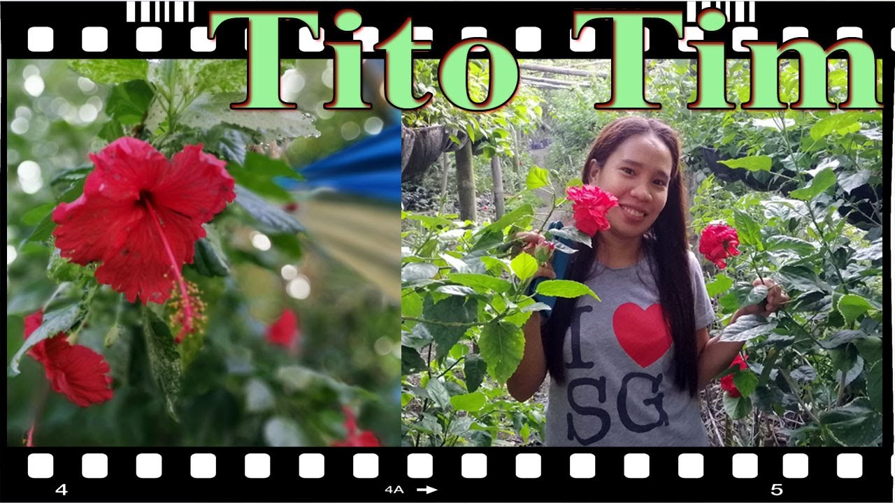 Flower Shopping With Family Expat Iloilo Philippines YouTube