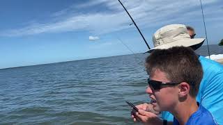 Sawfish Sanibel Island Florida