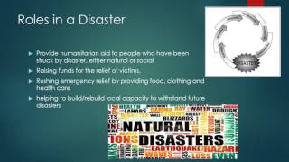 NGO presentation