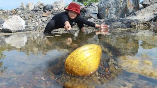 I awake the pearl golden clam that had been sleeping a long day, and it brought me great wealth