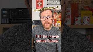 🐄🏠 Che significa ‘Till the cows come home’ in 🇬🇧? #shorts