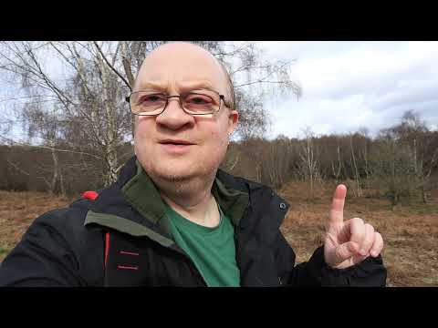 A quick rant and making the right decisions in woodland photography