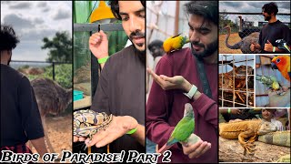 Amazing Experience In Birds Of Paradise | Part 2