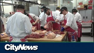 ‘It’s a gold mine’: Customers seek out deals at NAIT’s Retail Meat Store