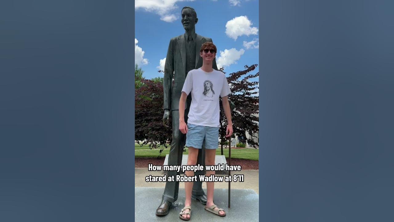 6 foot man, standing next to life size statue on 8 foot 11. World's tallest  man. : r/Damnthatsinteresting