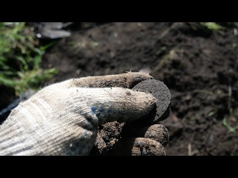 Сюрприз в фундаменте бывшего дома...