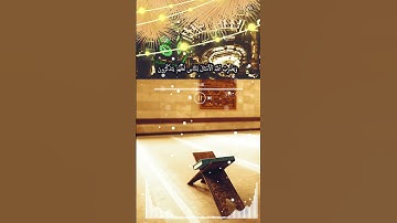تلاوة مبكية مميزة من سورة إبراهيم للشيخ سعود الشريم