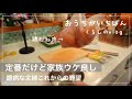 【50代主婦のメイク事情】老化を受け入れる/簡単レシピ/趣味時間/自分らしく暮らす