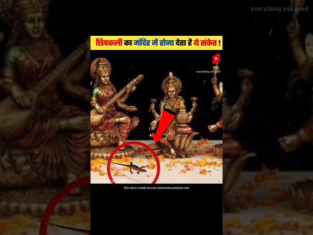 छिपकली का मंदिर में होना देता है ये संकेत | Lizard gives this signs | #shorts #dailyfacts class=