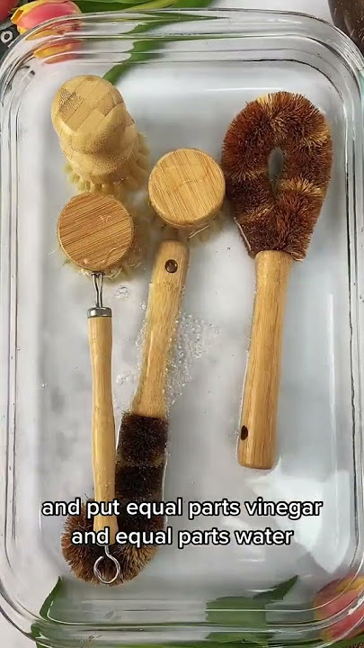 How to clean your dish brush