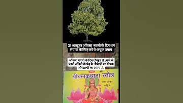 31 अक्टूबर आंवला नवमी के दिन धन संपदा के लिए करें #shortsviral #amla #navmi #pradeepmishra