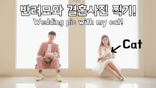 Taking wedding photos with my lovely cats! by 랙돌남매 앤폴리 651 views 3 years ago 1 minute, 51 seconds