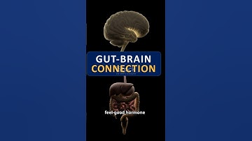 The Hidden Connection Between Your Gut and Brain Health"
