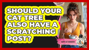 Should Your Cat Tree Also Have A Scratching Post? - Happy Cat Handbook