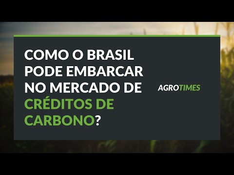 Como o Brasil pode embarcar no mercado bilionário de créditos de carbono?