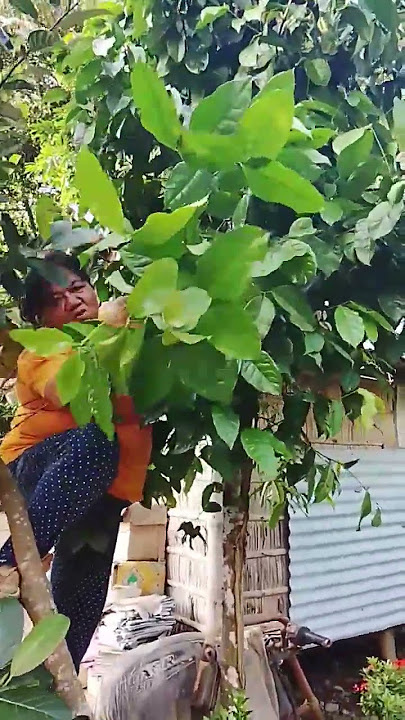 lumbay#sarap na gulay #thanksforwatching #trending ¢