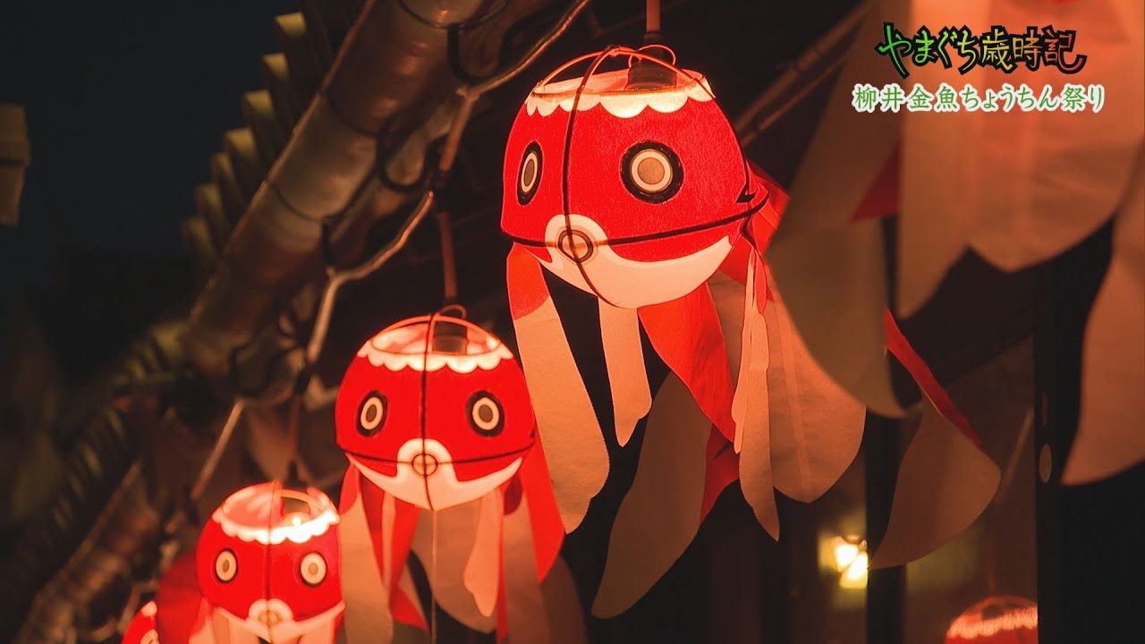 Goldfish Lantern Illumination [Yamaguchi Almanac] - YouTube