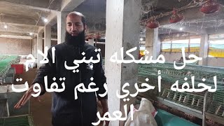 إنقاذ الخلفه من الموت لقله الرضاعه عملية التبني تختلف من ام لام في الارانب تعالو نشوف (183)