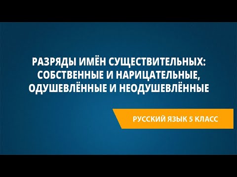 Разряды имён существительных: собственные и нарицательные, одушевлённые и неодушевлённые