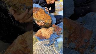Perfect, the process of getting a lump of gold on the edge of the river, amazing #gold #vidioshorts