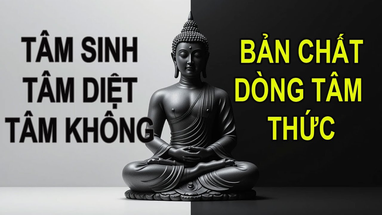 Tâm Sinh Tâm Diệt Tâm Không - Thấy rõ bản chất của dòng tâm thức