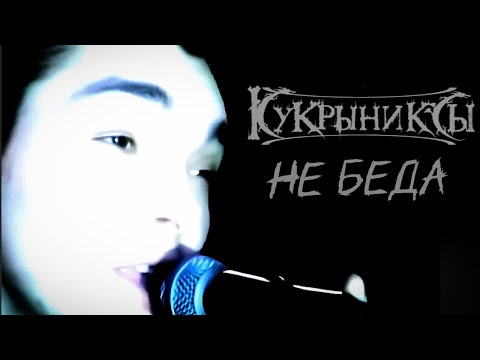 Кукрыниксы - Не беда (Клип HD)