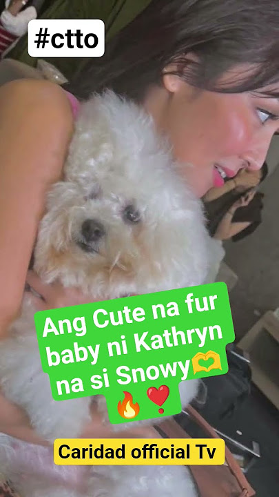 Ang Cute ng Fur baby ni Kathryn Bernardo #trending #trend #trendingshorts