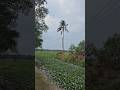 പണ്ട് ഇല്ലാത്ത 2 product launch ആയിട്ടുണ്ട് 👀😂#shortsfeed #shortvideo #youtubeshorts