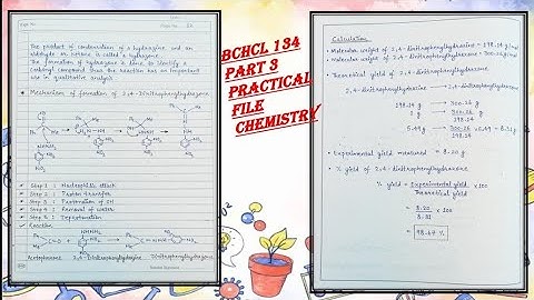 BCHCL 134 Part 3 Practical File Chemistry IGNOU